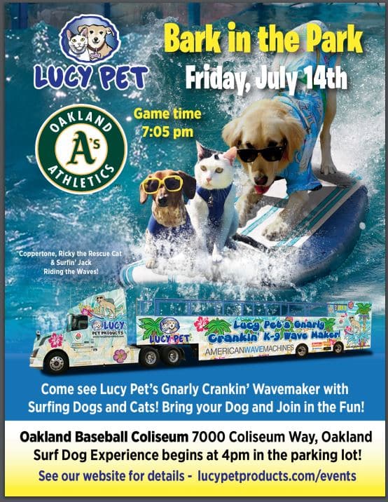 Oakland A’s Bark in the Park Lucy Pet Products