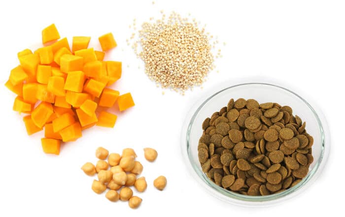 Carbohydrates and Grain-free Pet Foods