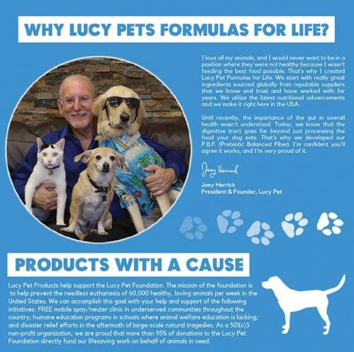 Best Chicken & Rice For Dogs - Limited Ingredient Dog Food | Lucy Pet ...