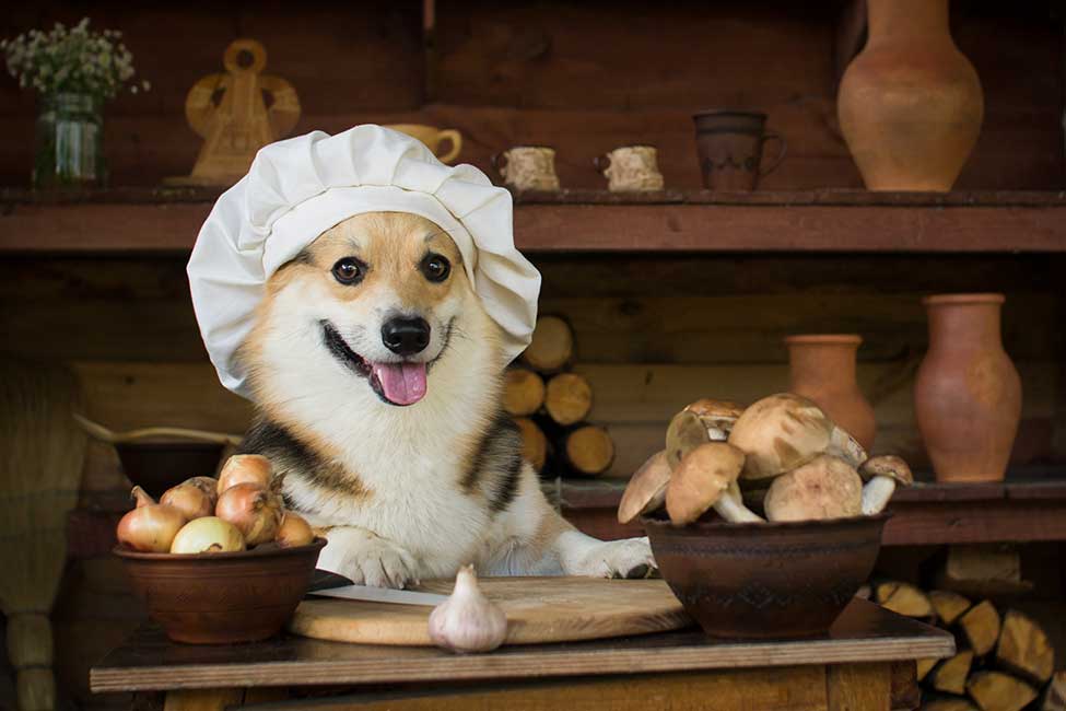 how much garlic is toxic to dogs