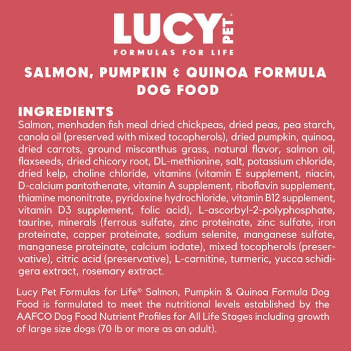 Salmon, Pumpkin & Quinoa Dog Food - Exclusive Gut Health Formula - Image 3